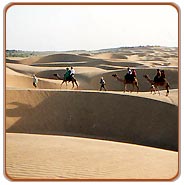 Camel Safari, Jodhpur Travel Packages