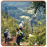 Treking, Gangotri Travels