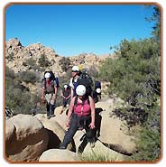 Treking, Kyarki Tours