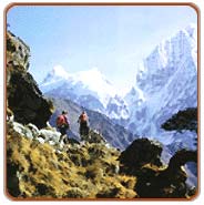 Trekking, Toli Travel Packages