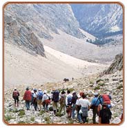 Trek Baijnath Tours