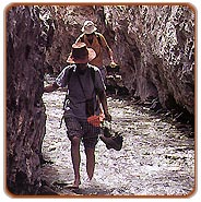 Trekking in Ladakh, Adventure Tours