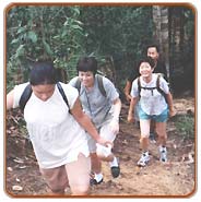 Trekking, Rishikesh Travel Packages