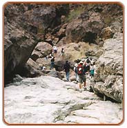 Trekking, Lingshed Vacations