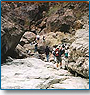 Wonderful Adventure Tour 