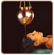 Ayurvedic Rejuvenation Tour