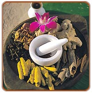 Ayurvedic Rejuvenation Tour of Rishikesh