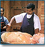 Ayurveda Special Tours