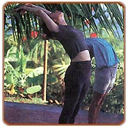 Yoga Tour