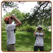 Bird Watching Tour in India