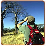 Bird Watchers Heaven