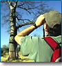Bird Watchers Heaven 
