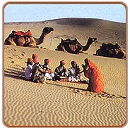 Festival, Rajasthan Tours