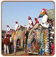Elephant Festival, Jaipur Vacations