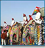 Rajasthan Festival Tour