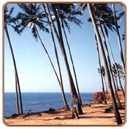 Beach, Goa Vacations