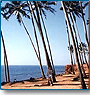 Glimpses of Goa