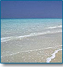 Beach Tour of Eastern India