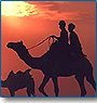 A Tour to Golden Moments in India