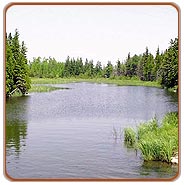 Kumarakom  Backwater, Kumarakom  Tourism