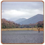 Lake, Periyar Travels