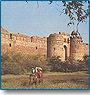 India - The Golden Triangle