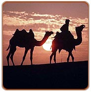 Camel Ride, Jaisalmer Vacations