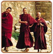 Budh Bhikshus, Dharamshala Holiday Vacations