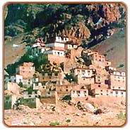 Ki-Monastry, Ladakh Travel Packages