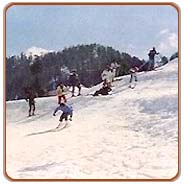 Kufri, Himanchal Pradesh Vacations