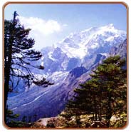 Yumthang Valley, Sikkim Holiday Vacations