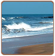 Beach, Cochin Travels & Tours