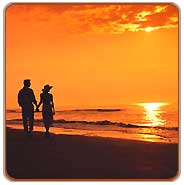 Beach, Alleppey Tours