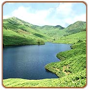 Backwaters, Munnar Travel Packages