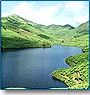 Honeymoon Packages(10 Days)