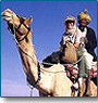 Camel Safari Tour to Rajasthan