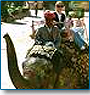 Incredible Rajasthan Tour