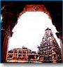 Rural And Rustic Rajasthan