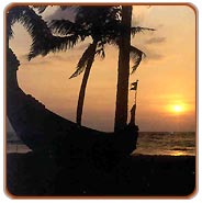 Alleppey Backwater, Alleppey Travels