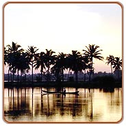 Cochin Backwater, Cochin Travel Guide