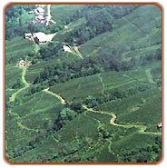 View, Darjeeling Travel Vacations