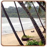 Goa Beach, Goa Travel Vacations