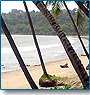 Incredible Goa Tour