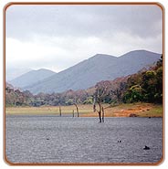 Periyar Lake, Periyar Tourism