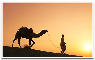 Camel Safari, Udaipur Travel Packages