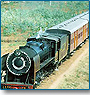 South India Rail Tour