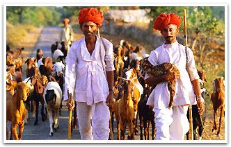 Bijapur