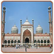 Jama Masjid, Delhi Travel Vacations
