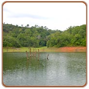 Lake Periyar, Periyar Travel Vacations