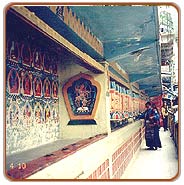 Prayer Wheels, Dharamshala  Vacations